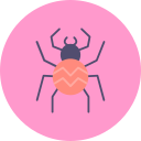 araña icon