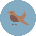 pájaro icon