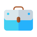 bolsa icon