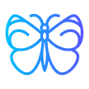 mariposa icon