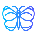 mariposa icon