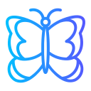 mariposa icon