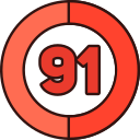 91 icon