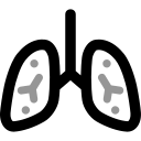 pulmones 