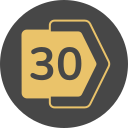 30 icon