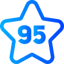 95 icon