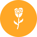 rosa icon