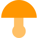 Гриб icon