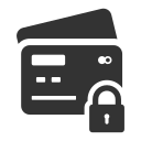 seguridad icon