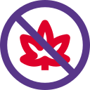 prohibido icon