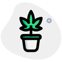 planta icon