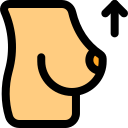 flecha icon