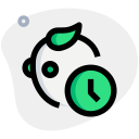 tiempo icon