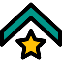 estrella icon