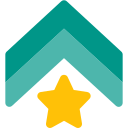 estrella icon