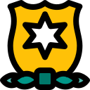 estrella icon