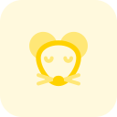 ratón icon