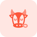 animal 