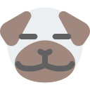 animal icon