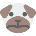 animal icon