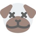 animal icon