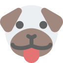 animal icon