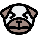 animal icon