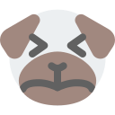 animal icon