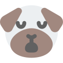 animal icon