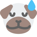 animal icon