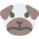 animal icon