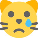 동물 icon