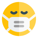 mascarilla icon