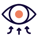 ojo icon