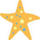 Estrella de mar