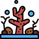 Coral icon