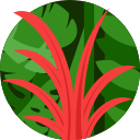 Planta icon