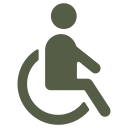 accesible icon