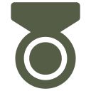 insignia icon