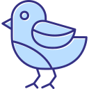 pájaro icon