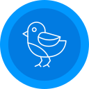 pájaro icon