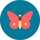 mariposa icon