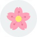 flor de cerezo icon