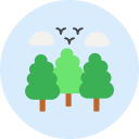 bosque icon