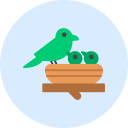 pájaro icon