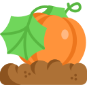 Calabaza icon