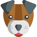 Perro icon