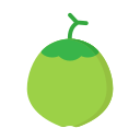 fruta icon