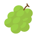 fruta icon