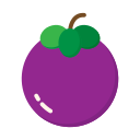 fruta icon